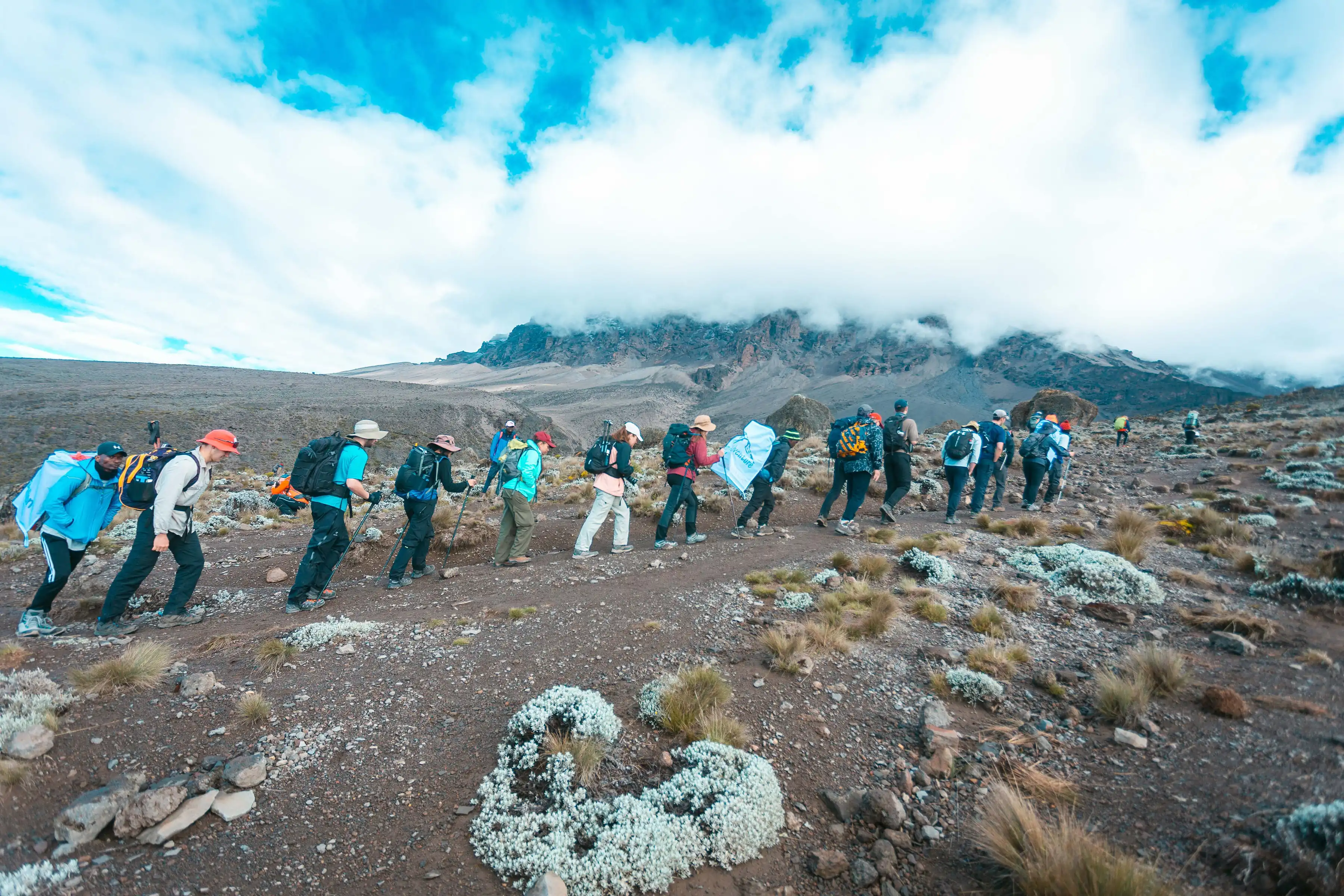 9 Days NC Western Breach