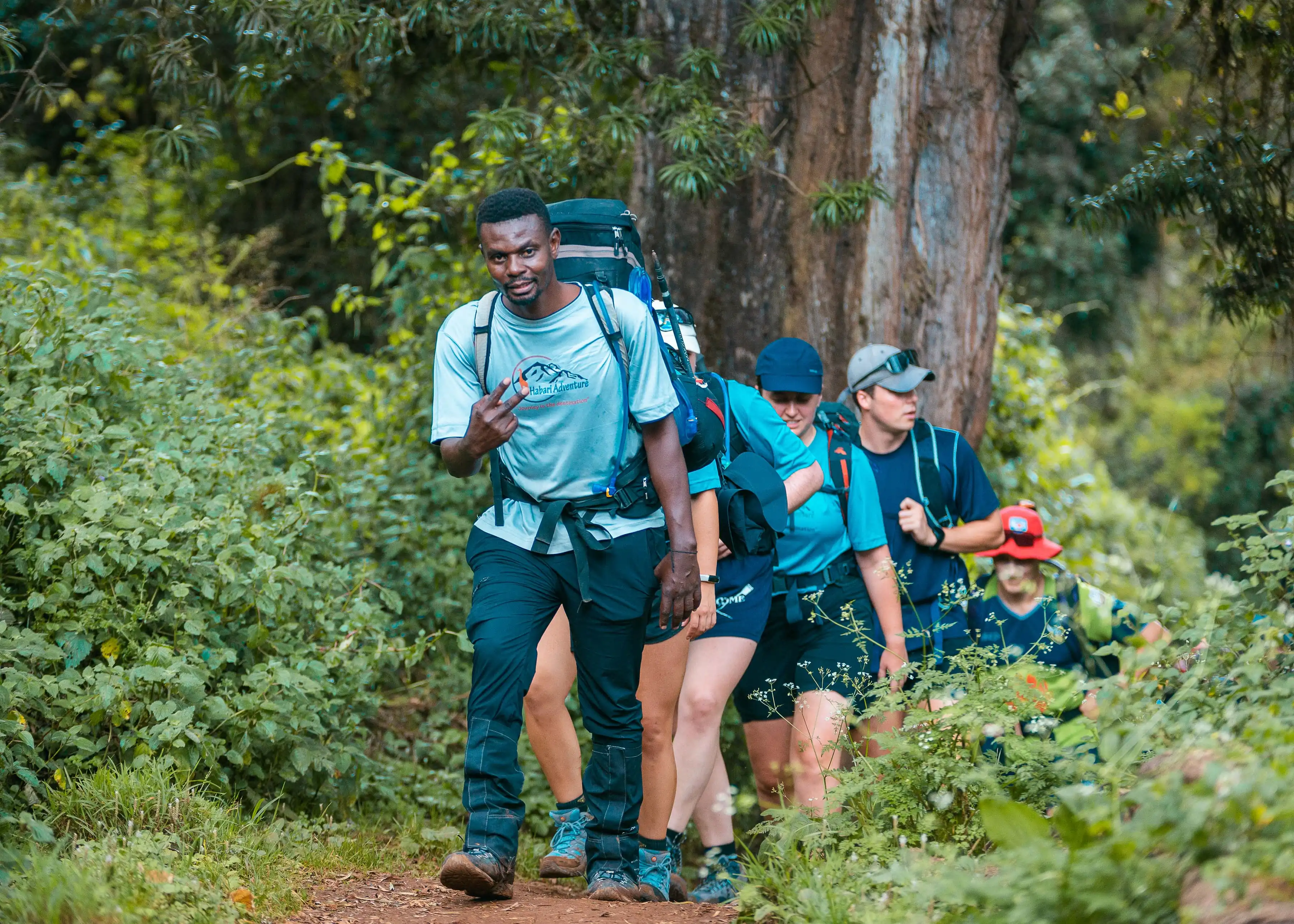 Kenya Climbing