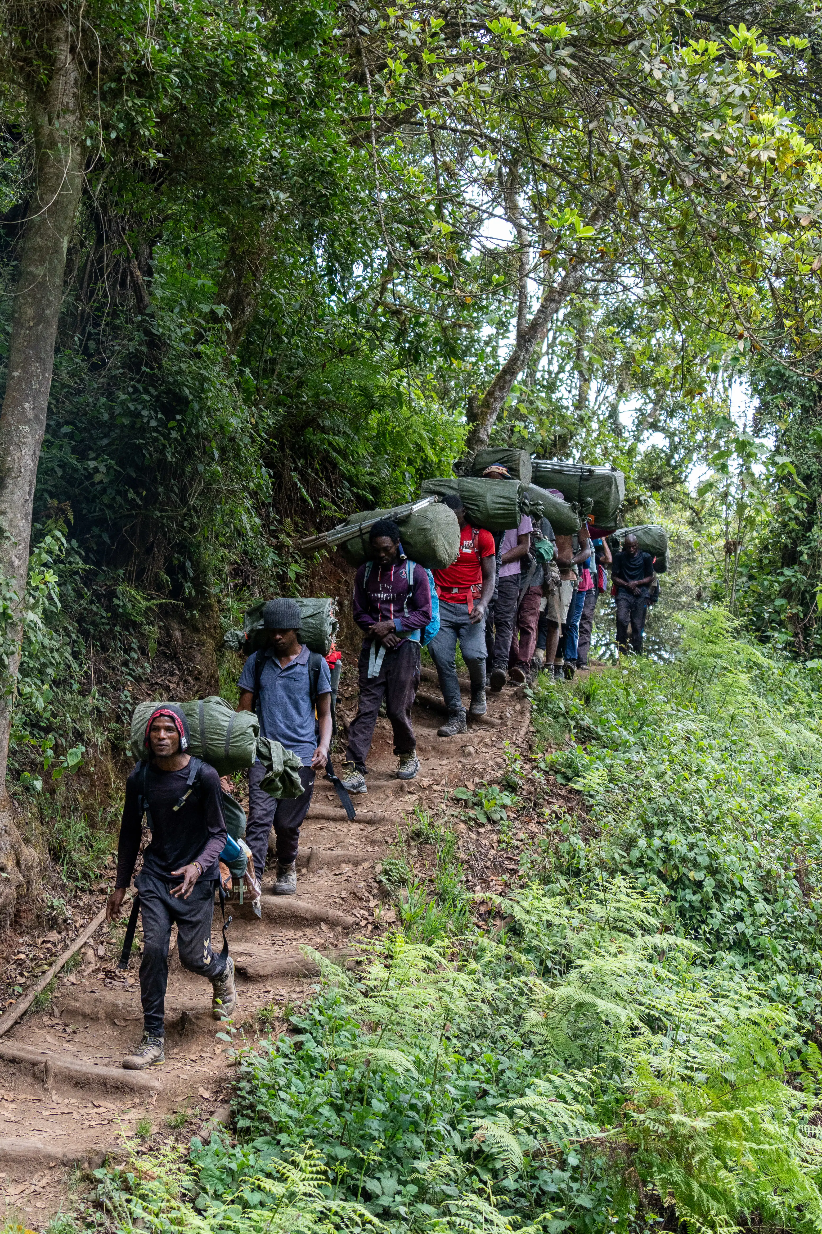 Kilimanjaro Kenya 8DaysLemosho Climbing